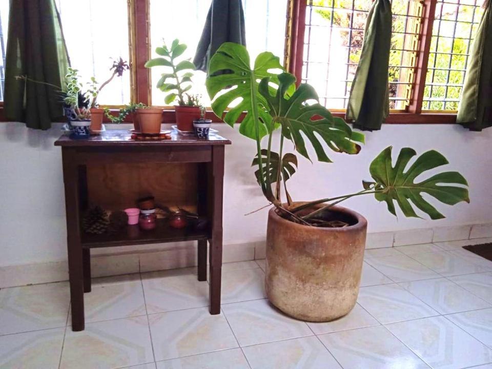 Casa Natura San Cristóbal de Las Casas Kültér fotó